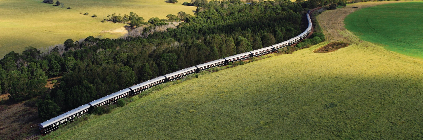 Image may contain Outdoors Plant Vegetation Land Nature Tree Woodland Road Aerial View Railway and Train